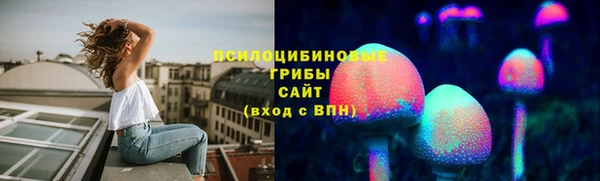 мдпв Дмитров