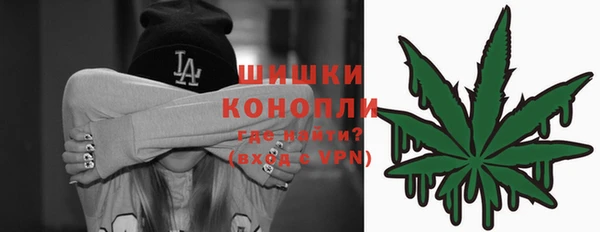 мдпв Дмитров