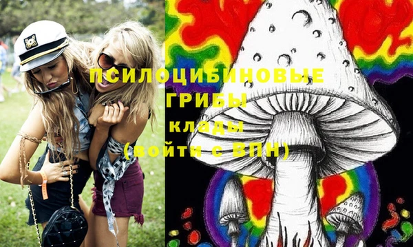 мдпв Дмитров