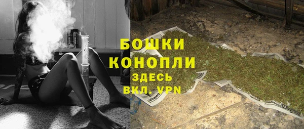 мдпв Дмитров