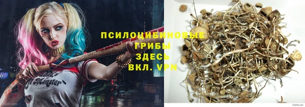мдпв Дмитров