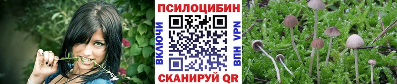 Галлюциногенные грибы GOLDEN TEACHER  Купить где  Волоколамск 